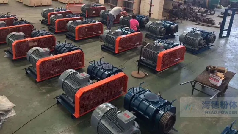 防爆罗茨真空泵系统工作原理及性能优势解析(图3)